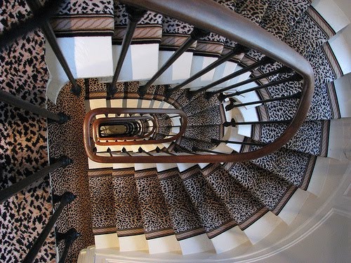 Cầu thang đẹp với thảm trải - Archi