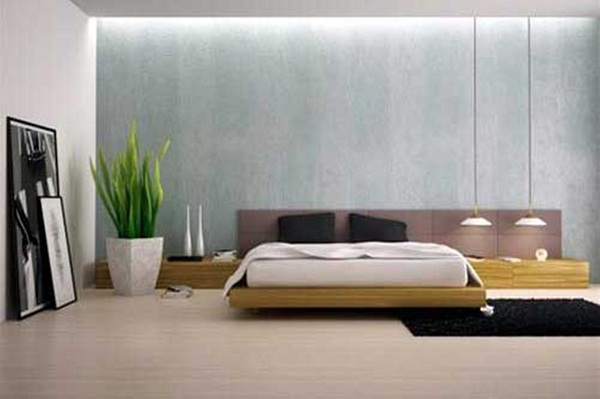 Cây xanh trong nhà cũng cần bài trí khoa học | ảnh 2