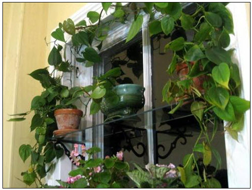 Tạo 