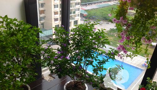 Hút mắt với không gian 100m2 - Archi