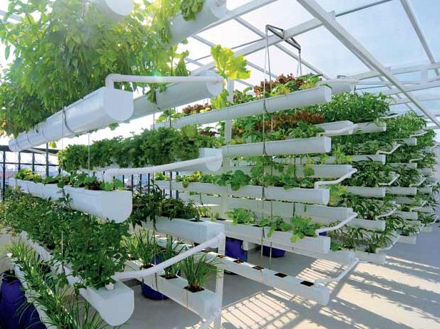 Biệt thự phố trang nhã và sang trọng - Archi