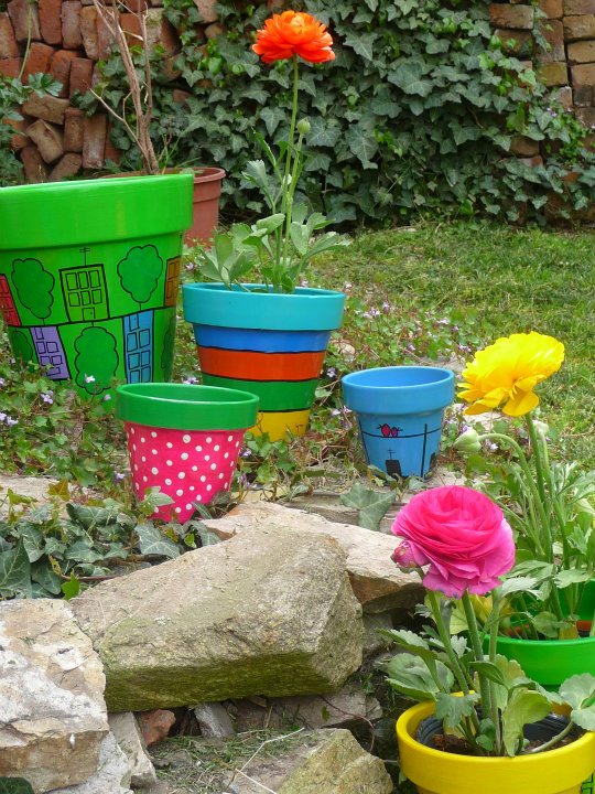 Những màu sắc rực rỡ cho khu vườn | ảnh 1