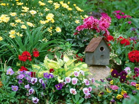 Dùng chuồng chim để...trang trí sân vườn | ảnh 2