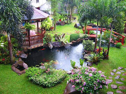 Một vài ý tưởng mang ao nhỏ vào nhà vườn | ảnh 10