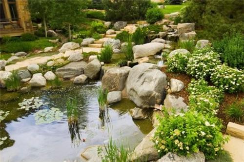 Ý tưởng tạo ao nhỏ trong nhà vườn - Archi