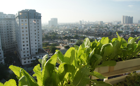 Sân vườn trên cao - Archi